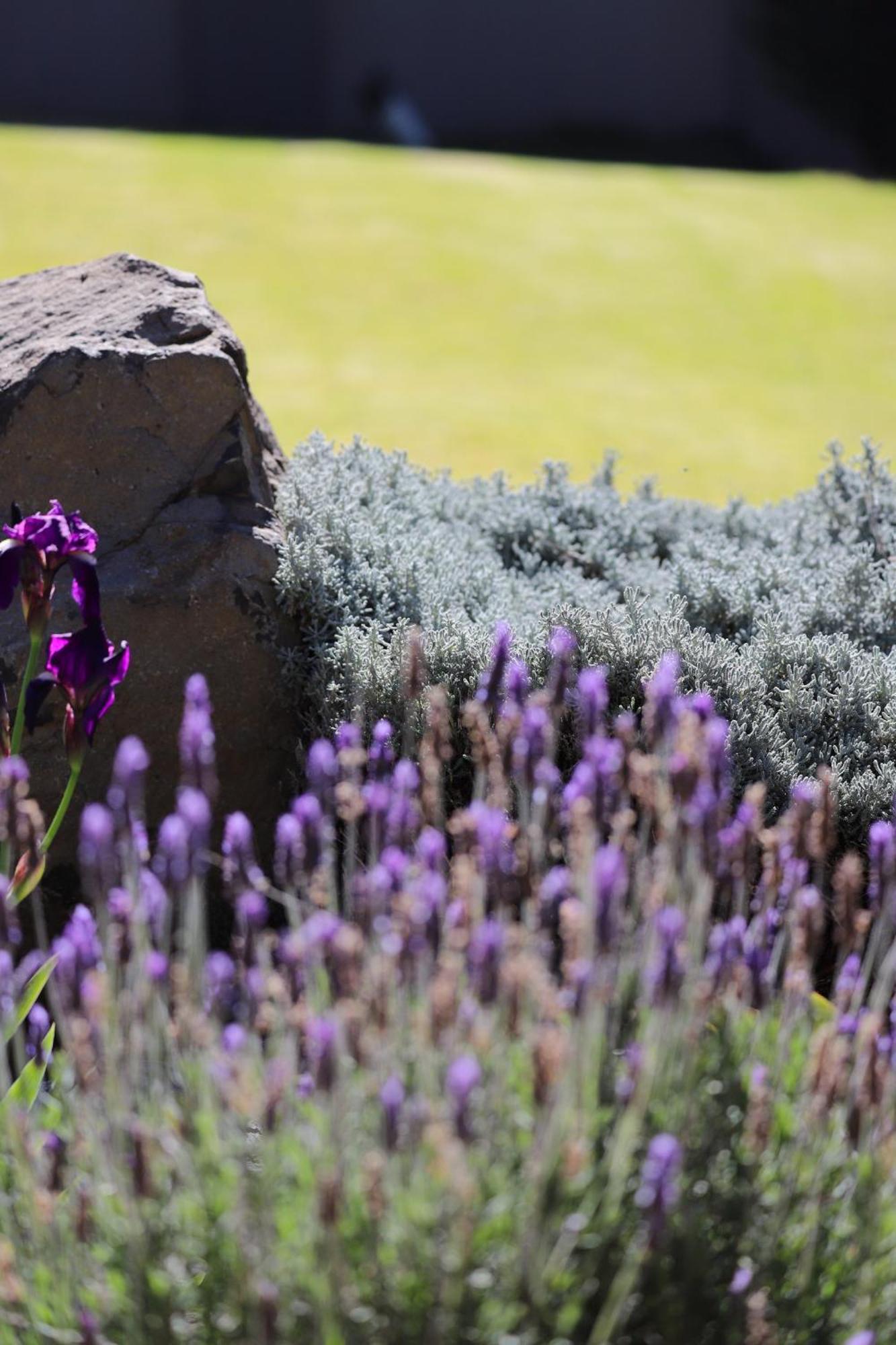 The Raz Bed & Breakfast Harrismith ภายนอก รูปภาพ